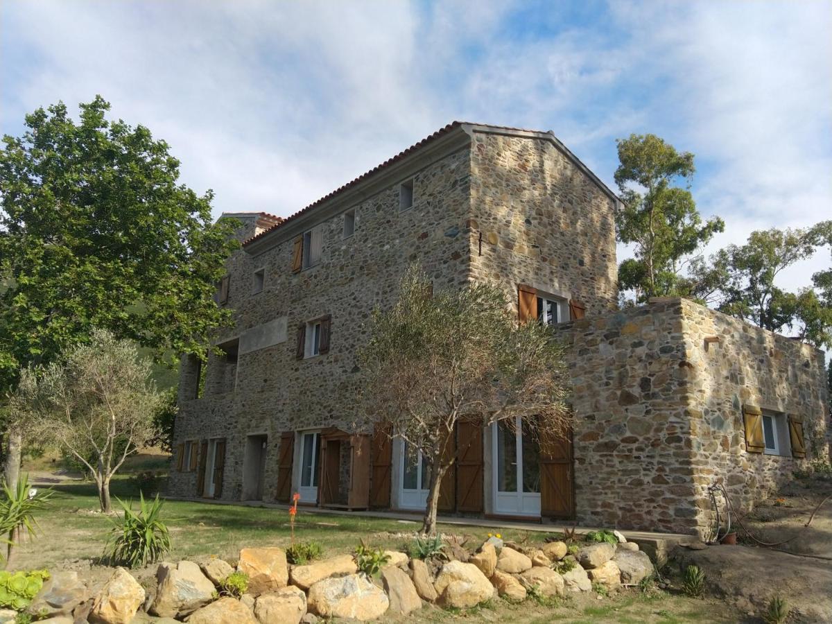 Mulinu Biancu Hotel Poggio-d'Oletta Bagian luar foto