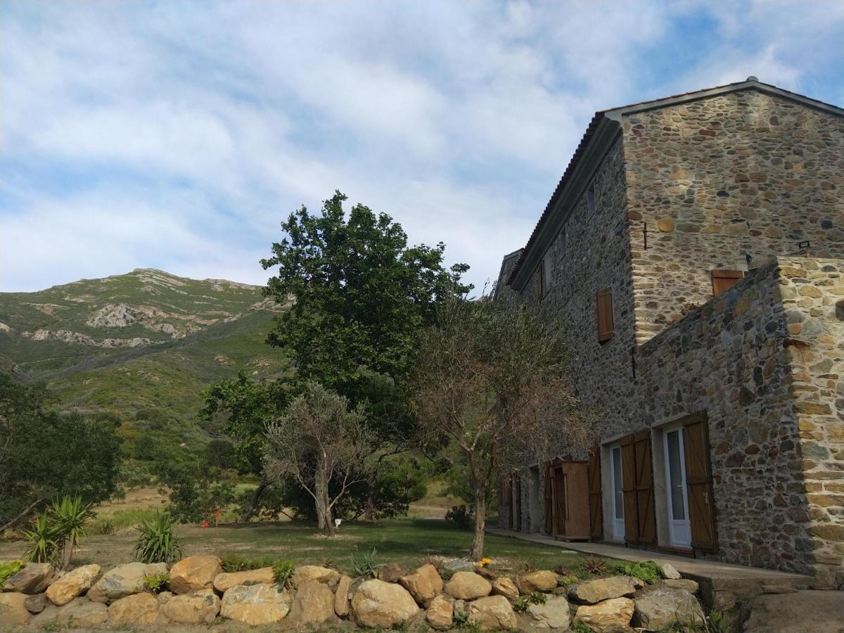 Mulinu Biancu Hotel Poggio-d'Oletta Bagian luar foto