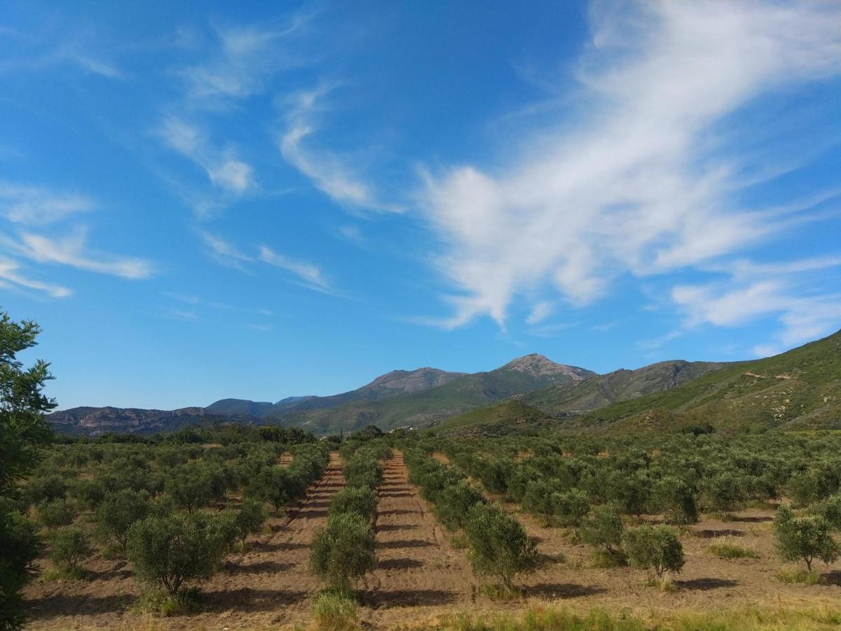 Mulinu Biancu Hotel Poggio-d'Oletta Bagian luar foto