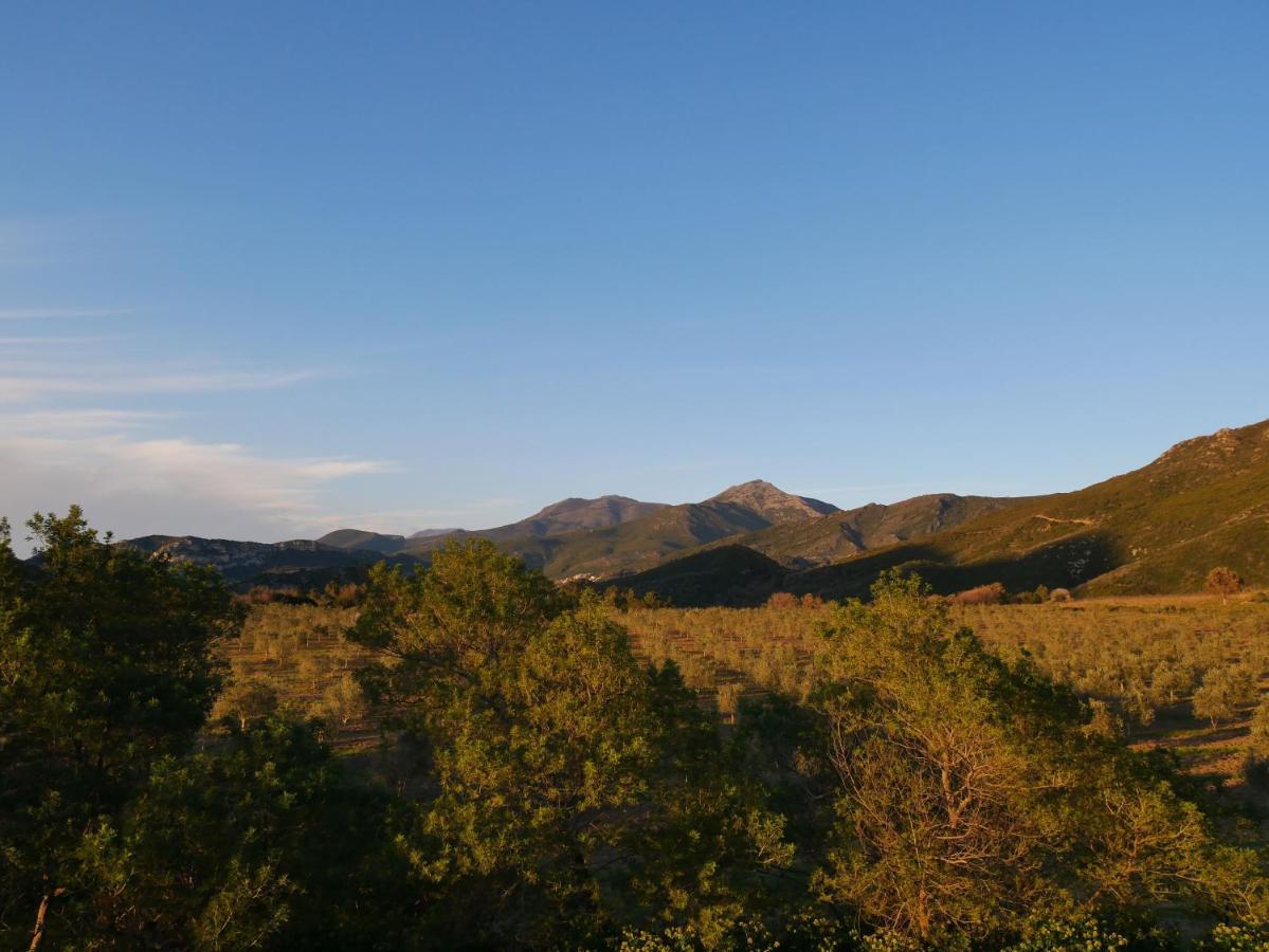 Mulinu Biancu Hotel Poggio-d'Oletta Bagian luar foto