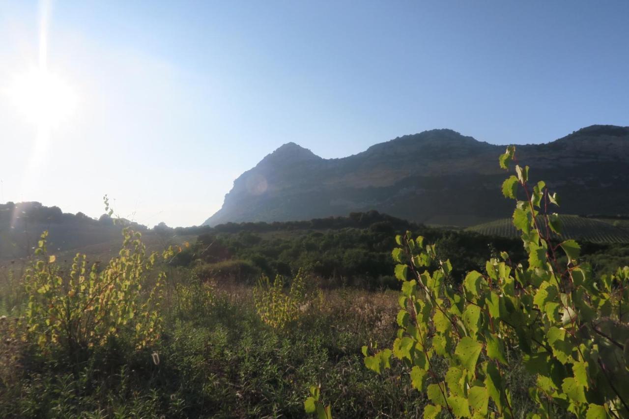Mulinu Biancu Hotel Poggio-d'Oletta Bagian luar foto